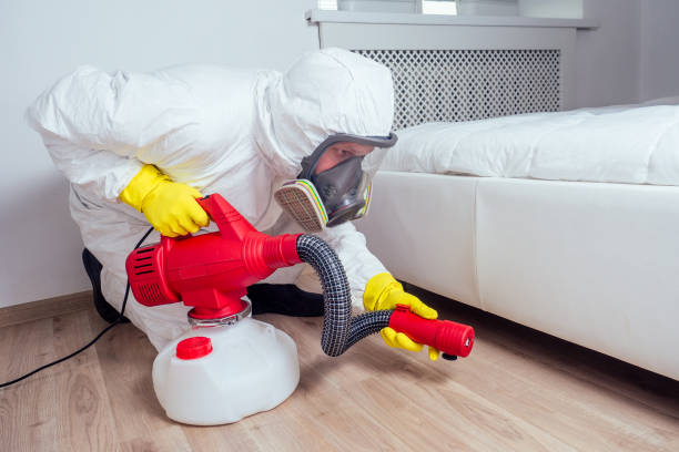 Professional Pest Control in Serenada, TX