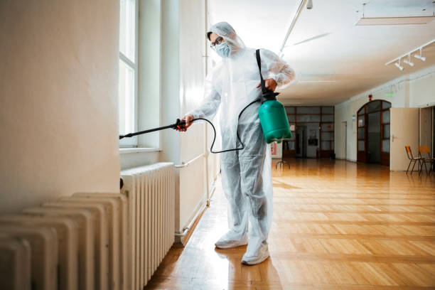 Best Rat Extermination Near Me  in Serenada, TX