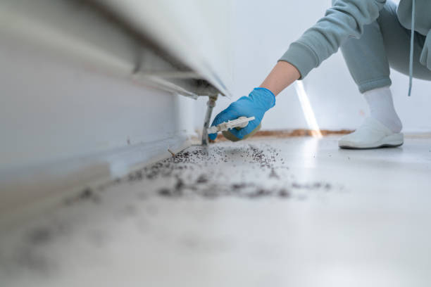 Best Pest Control Treatment  in Serenada, TX